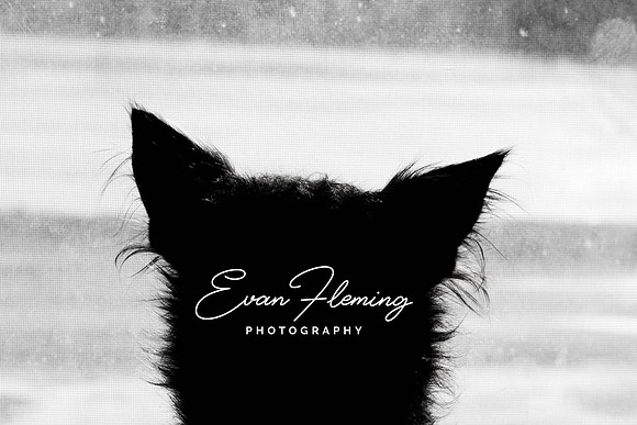 Evan Fleming Photography