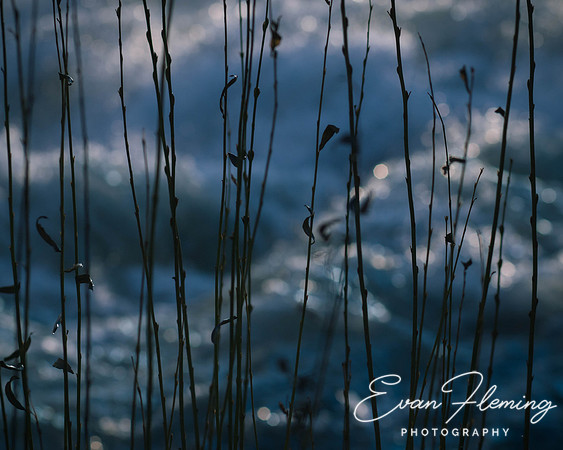 vespers