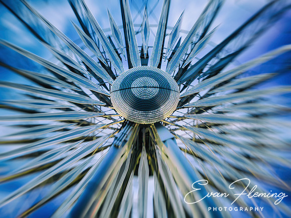 wheel