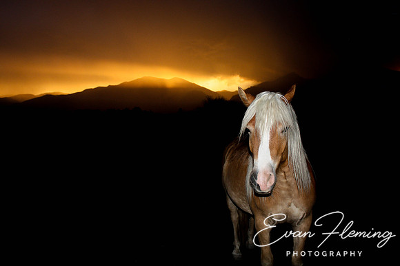 sunset storm
