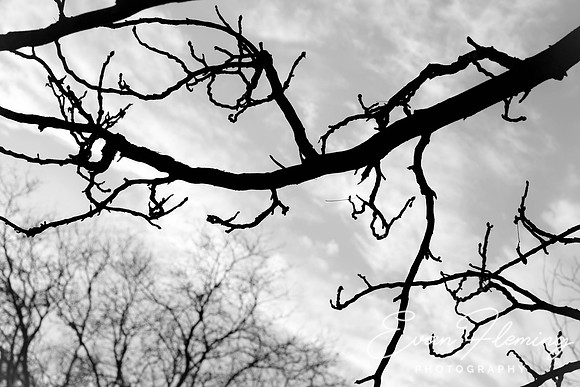 twisted
