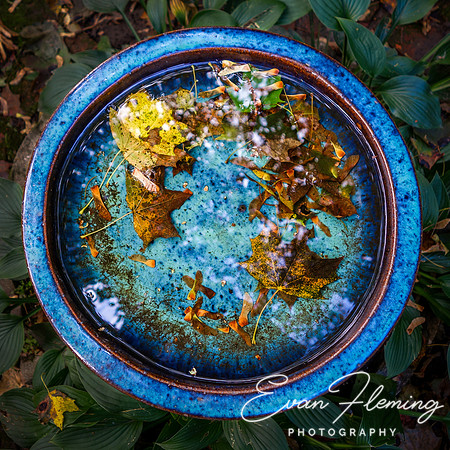leaf bath