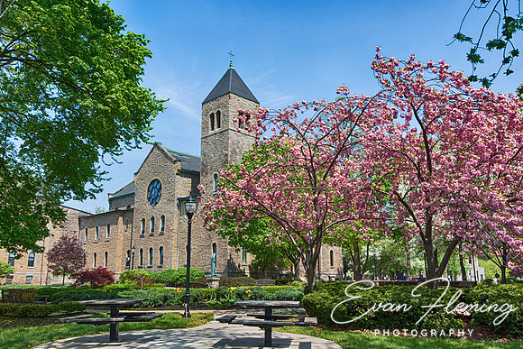 spring campus