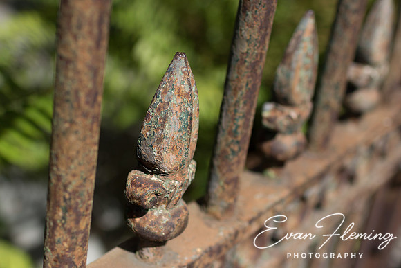 fleur-de-lis